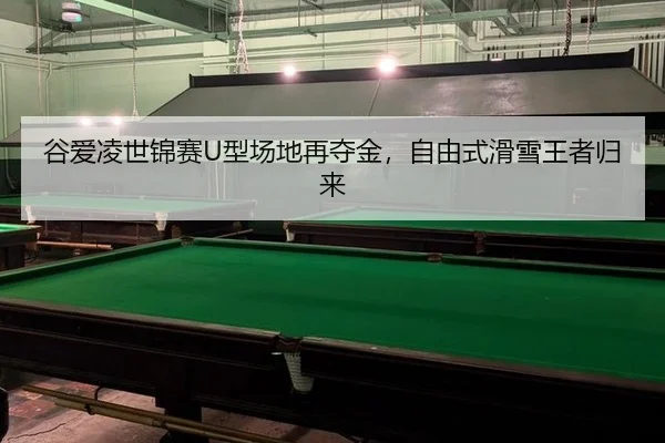 gu-ai-ling-shi-jin-sai-xing-chang-di-zai-duo-jin-zi-you-shi-hua-xue-wang-zhe-gui-lai-3-200.jpg