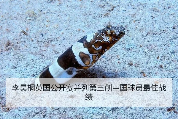 李昊桐英国公开赛并列第三创中国球员最佳战绩