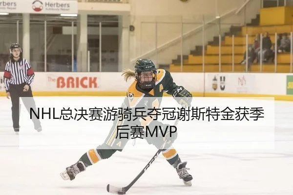 NHL总决赛游骑兵夺冠谢斯特金获季后赛MVP