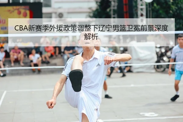 xin-sai-ji-wai-yuan-zheng-ce-tiao-zheng-xia-liao-ning-nan-lan-wei-mian-qian-jing-shen-du-jie-xi-2-985.jpg