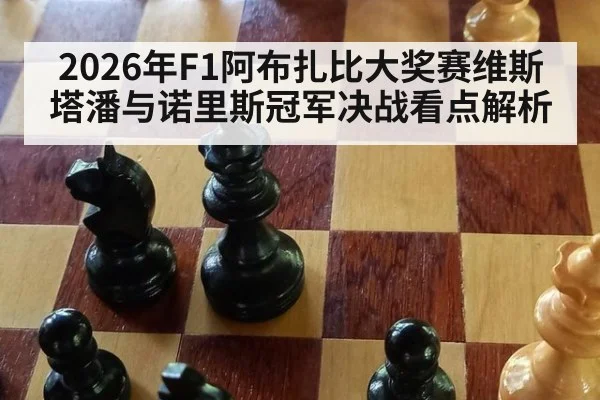 2026年F1阿布扎比大奖赛维斯塔潘与诺里斯冠军决战看点解析